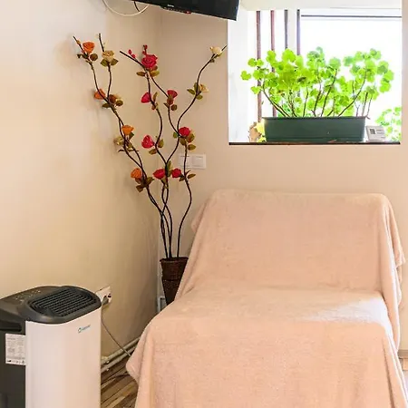 Geppetto's 아파트 브라쇼브