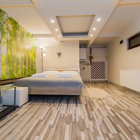 Geppetto's 아파트 브라쇼브