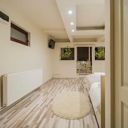 Geppetto's 브라쇼브