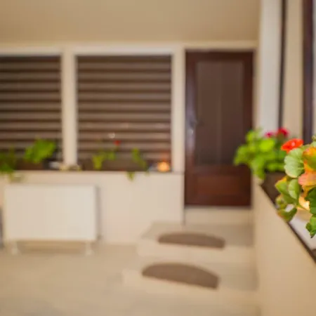 Geppetto's 브라쇼브