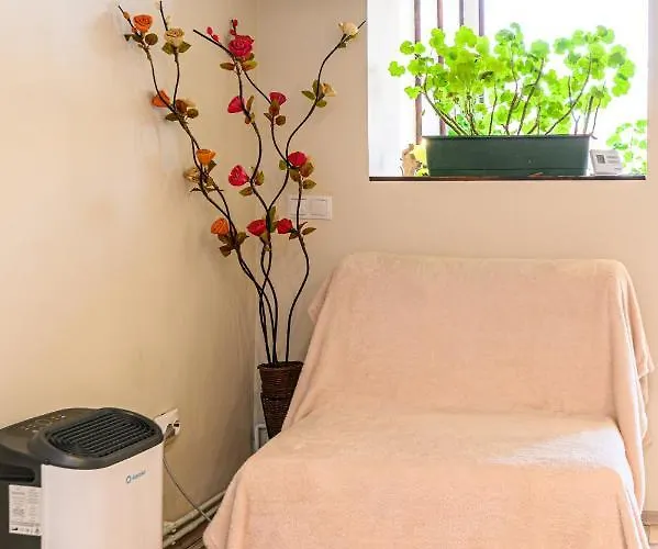 Geppetto's Apartment Brasov